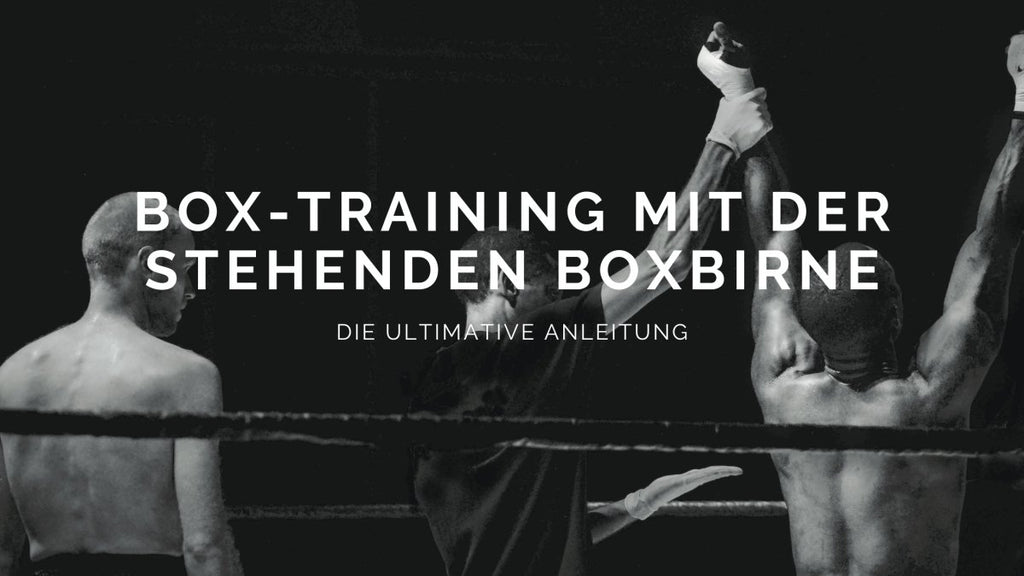 Box-Training mit der stehenden Boxbirne - die ultimative Anleitung
