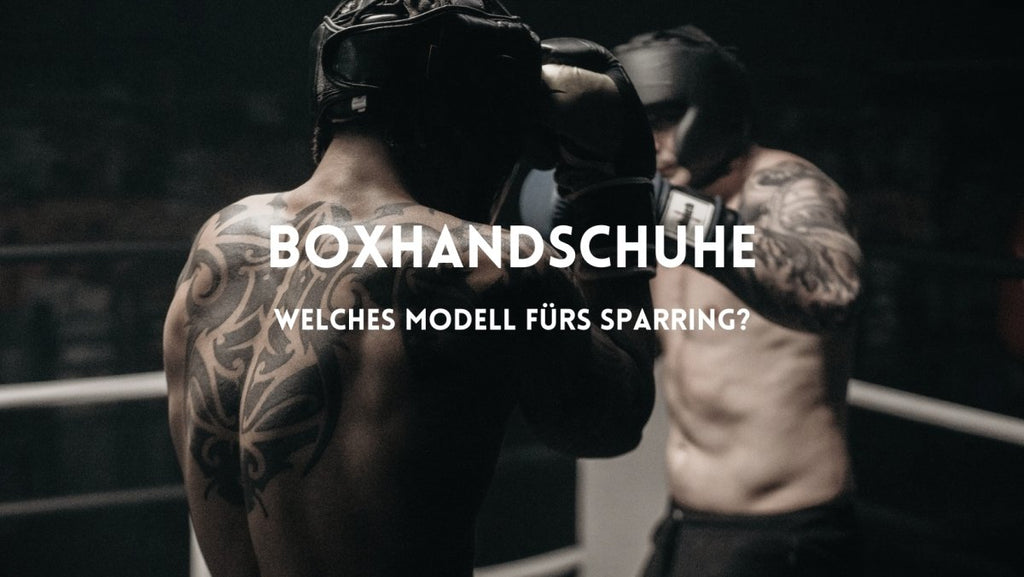 Boxen: Welche Handschuhe für das Sparring?