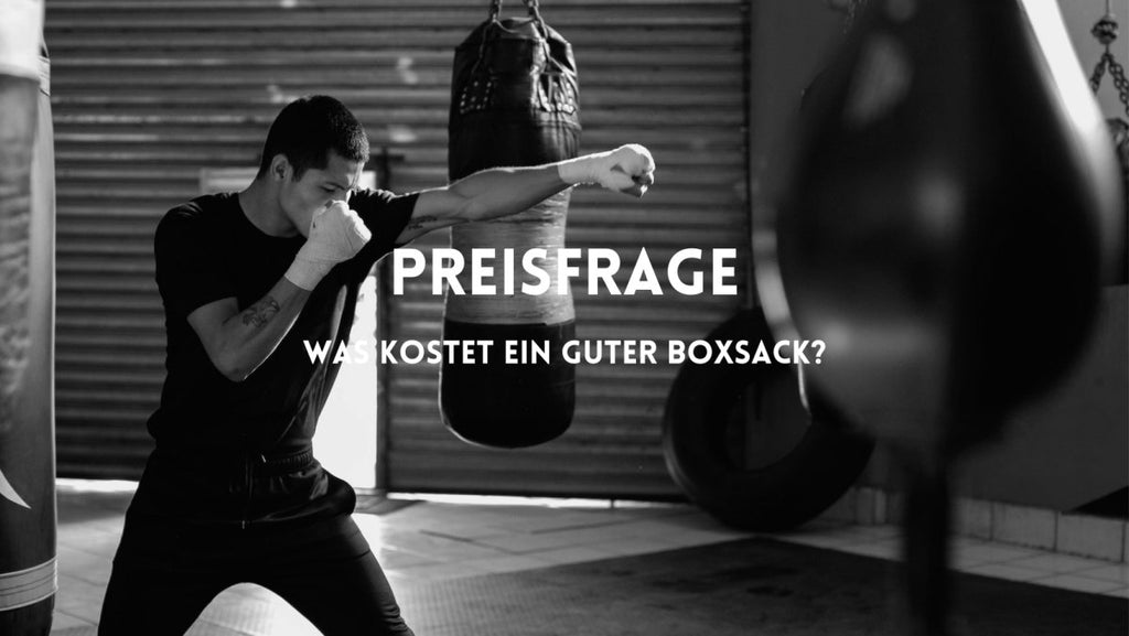 Price question: How much does a good punching bag cost? 